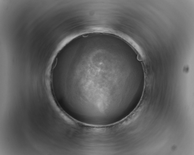 X0000102501381200808221744