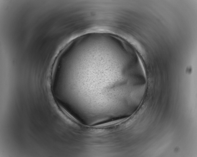 X0000102501382200808221744