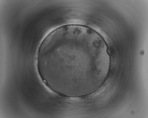 X0000102501383200808221744