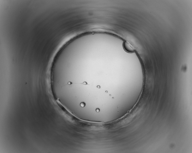 X0000102501384200808221744