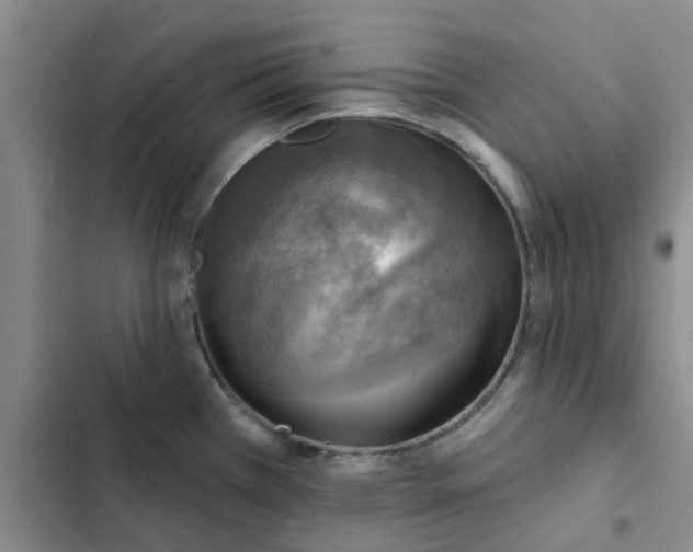 X0000102501385200808221744