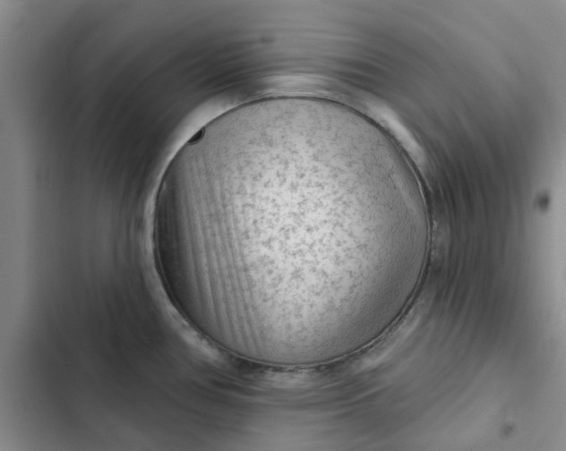 X0000102501386200808221744