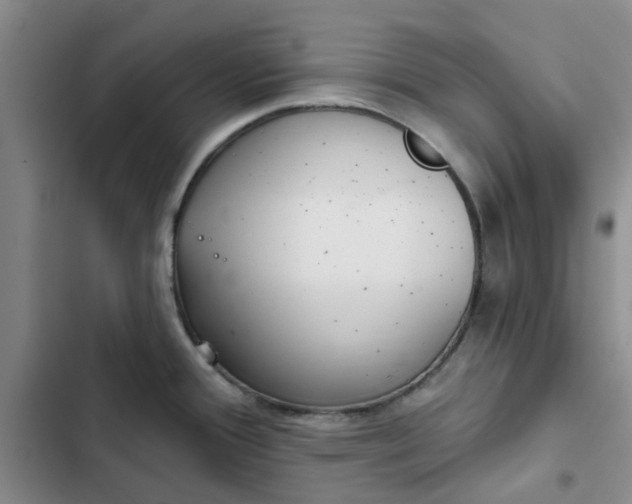 X0000102501388200808221743