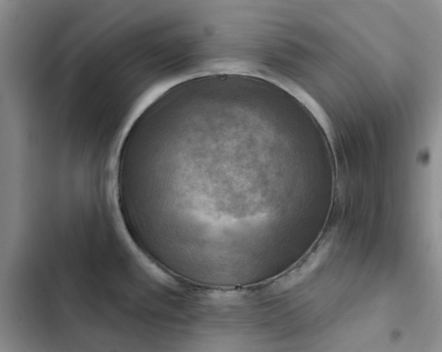 X0000102501389200808221743