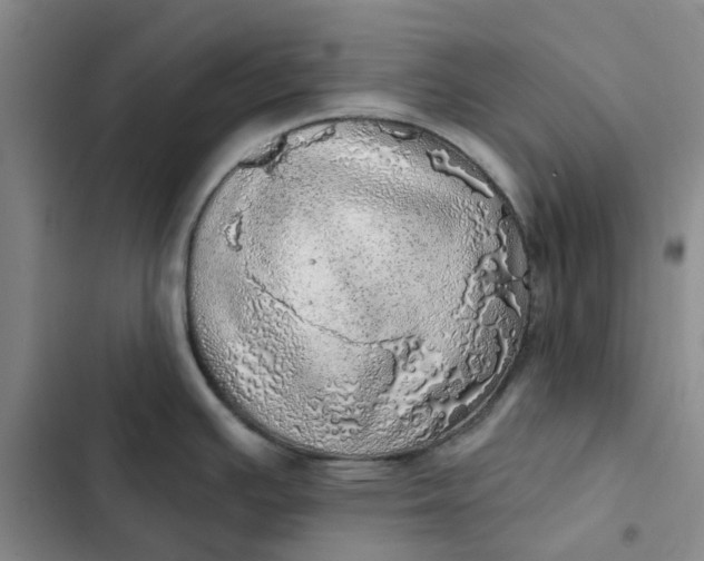 X0000102501391200808221743