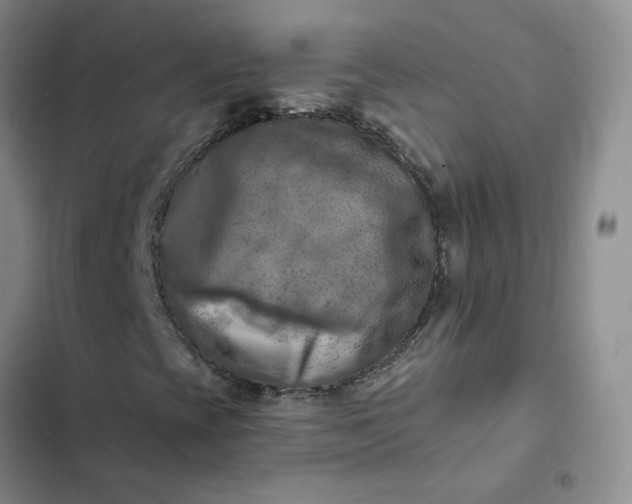 X0000102501393200808221743