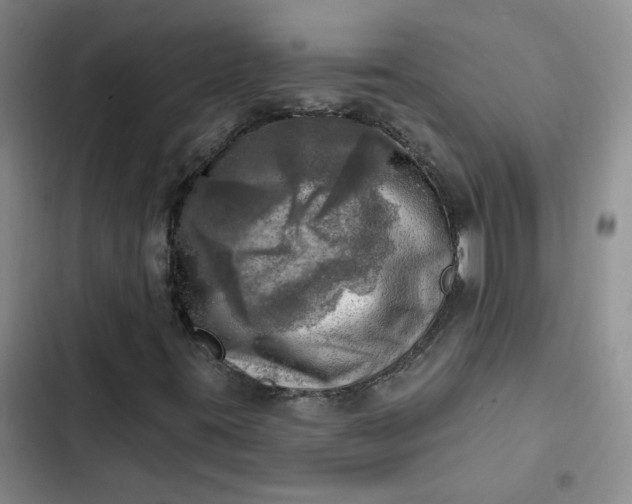 X0000102501395200808221743