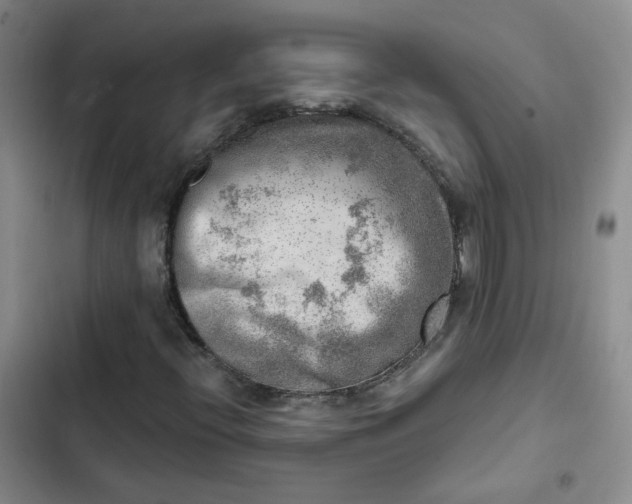 X0000102501396200808221743