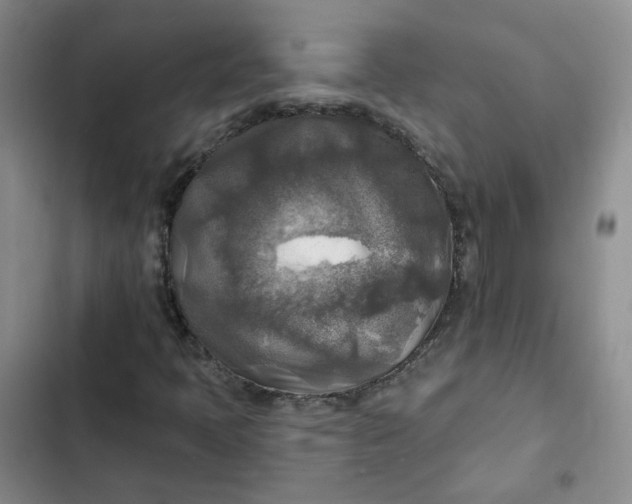 X0000102501397200808221743