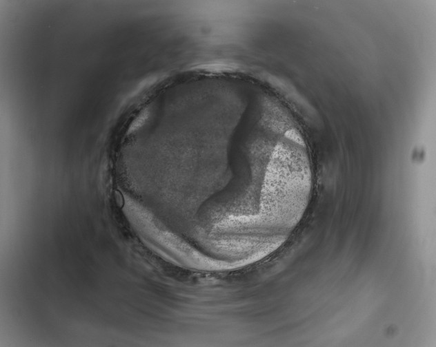 X0000102501398200808221743