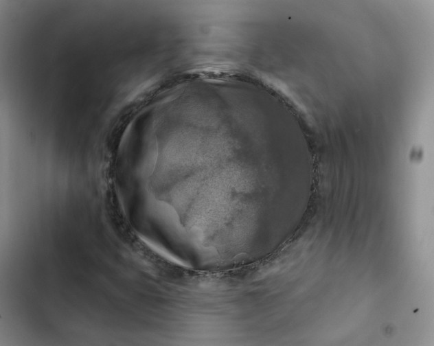 X0000102501399200808221743