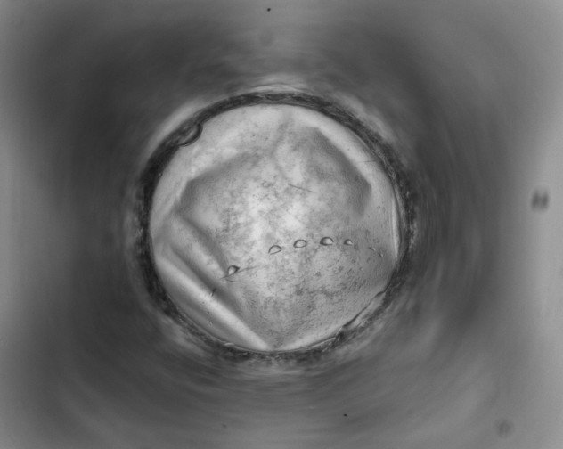 X0000102501400200808221743