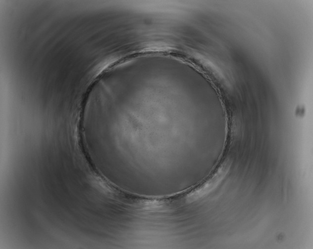 X0000102501401200808221743