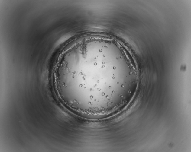 X0000102501402200808221743