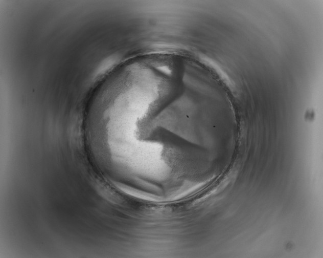 X0000102501403200808221743