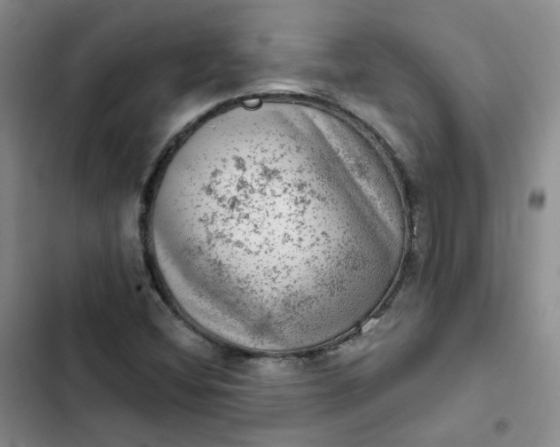 X0000102501404200808221743