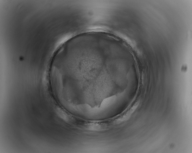 X0000102501405200808221743