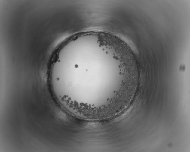 X0000102501406200808221743