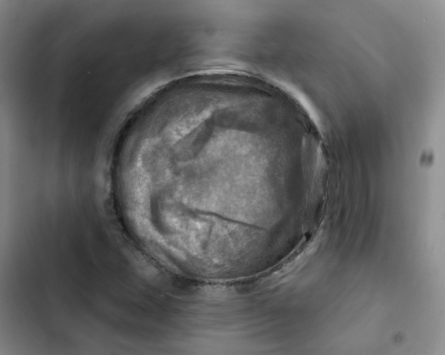 X0000102501407200808221743