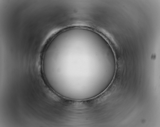 X0000102501408200808221743