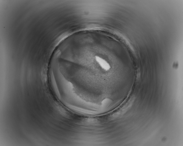 X0000102501409200808221743