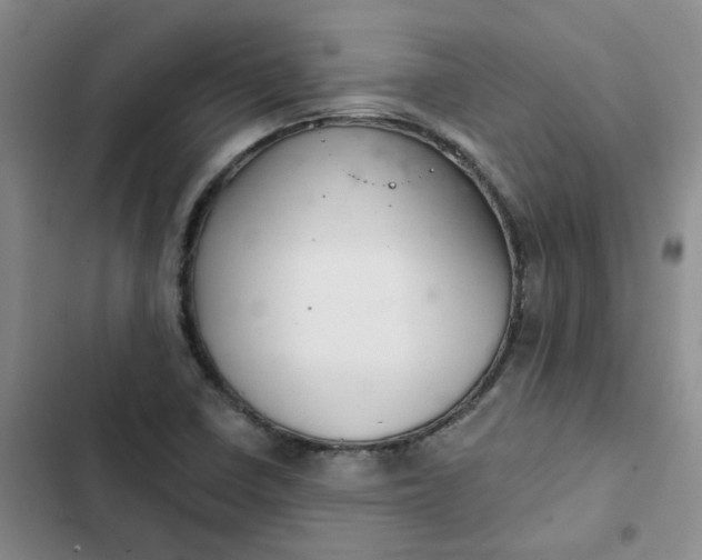 X0000102501410200808221743