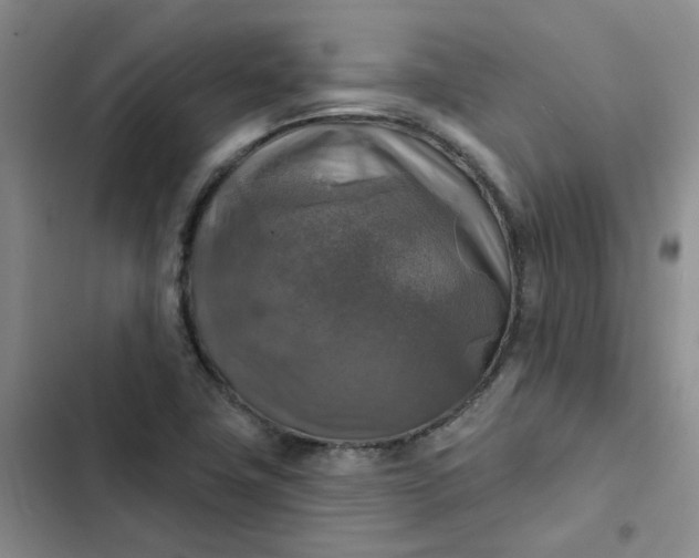 X0000102501411200808221743