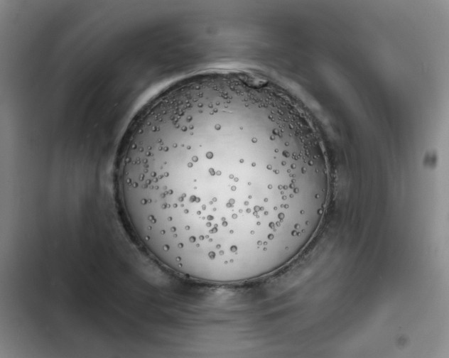 X0000102501412200808221743