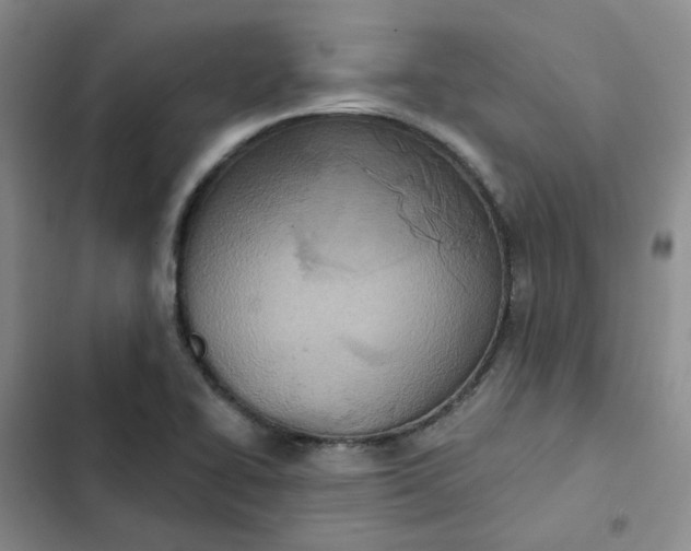 X0000102501414200808221743