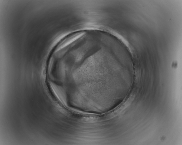 X0000102501415200808221743