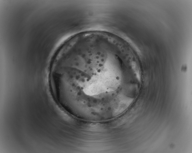 X0000102501416200808221743