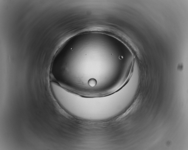 X0000102501417200808221743