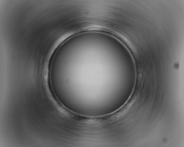 X0000102501418200808221743