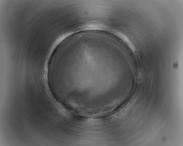 X0000102501419200808221743