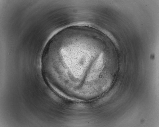 X0000102501420200808221743