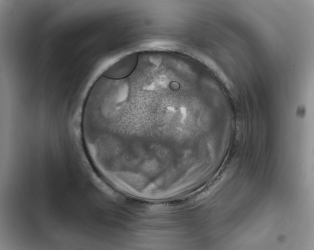 X0000102501421200808221743