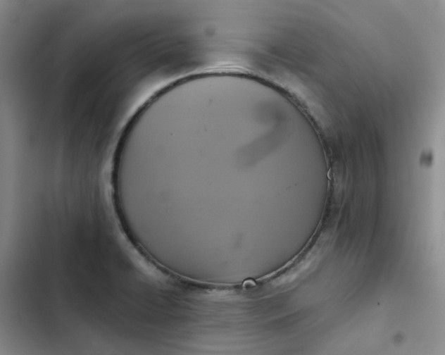 X0000102501422200808221743