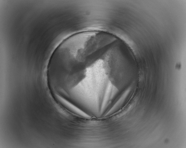 X0000102501423200808221743