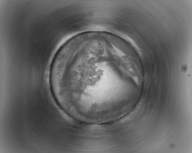 X0000102501424200808221743