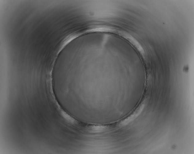 X0000102501425200808221743