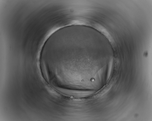 X0000102501427200808221743