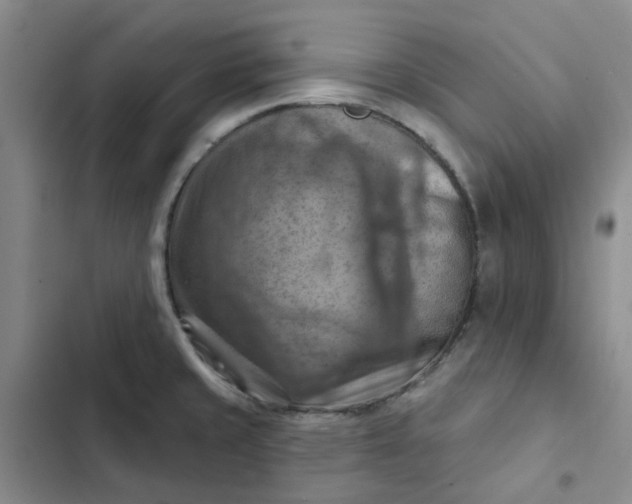 X0000102501429200808221743