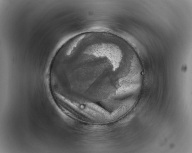 X0000102501430200808221743