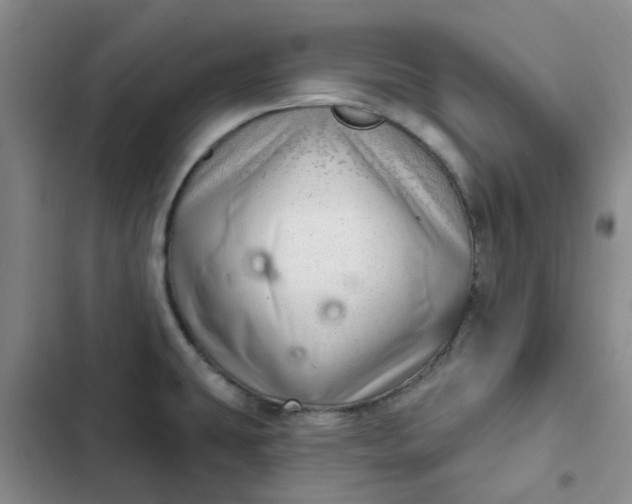 X0000102501431200808221743