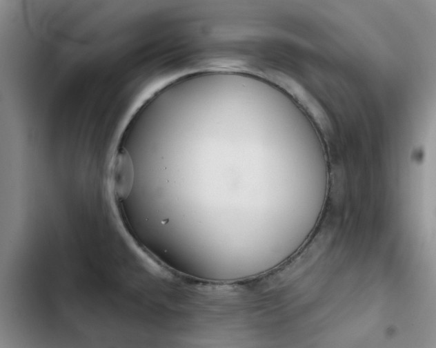 X0000102501432200808221743