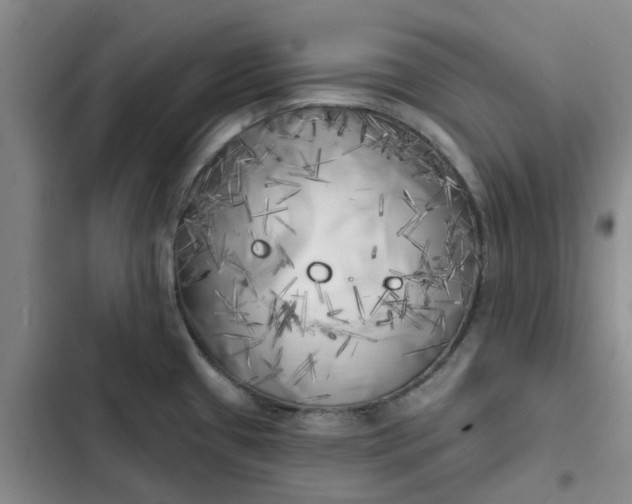 X0000102501433200808221743