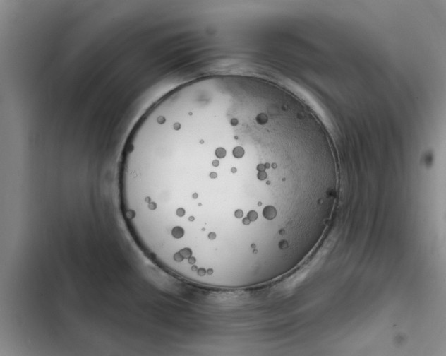 X0000102501434200808221743