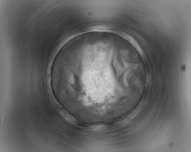 X0000102501435200808221743