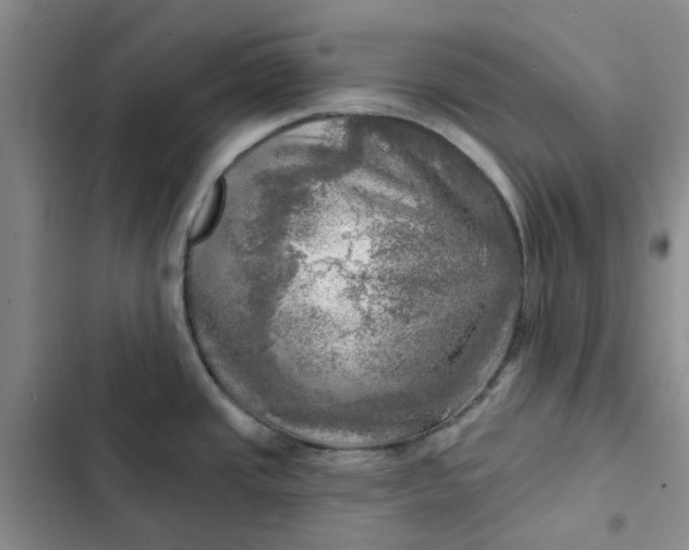 X0000102501437200808221743