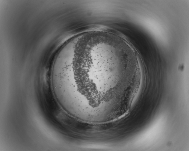 X0000102501438200808221743